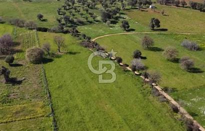 Güzelbahçe Yelki'de Satılık Arsa