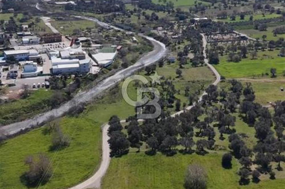 Güzelbahçe Yelki'de Satılık Arsa