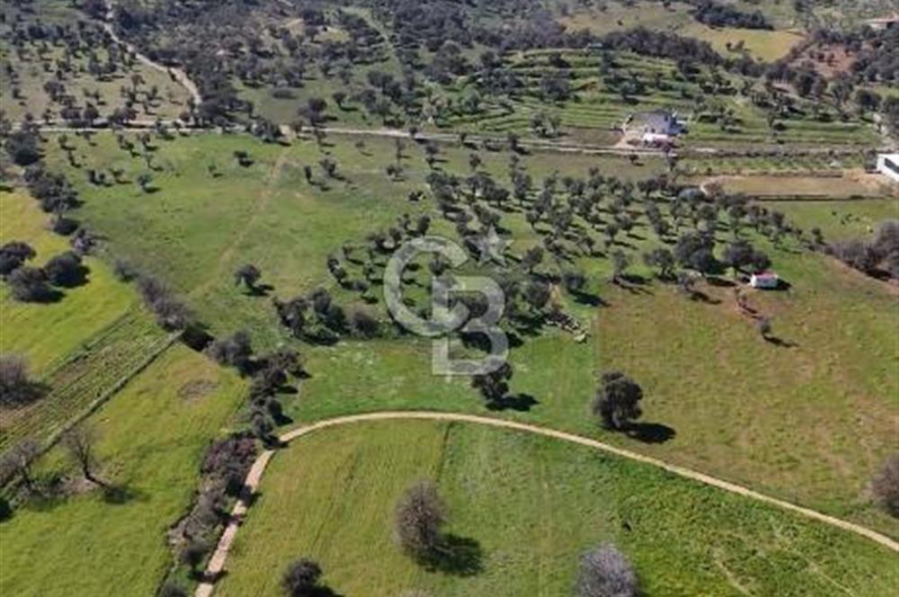 Güzelbahçe Yelki'de Kaçırılmayacak Yatırım Fırsatı