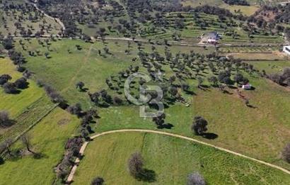 Güzelbahçe Yelki'de Kaçırılmayacak Yatırım Fırsatı