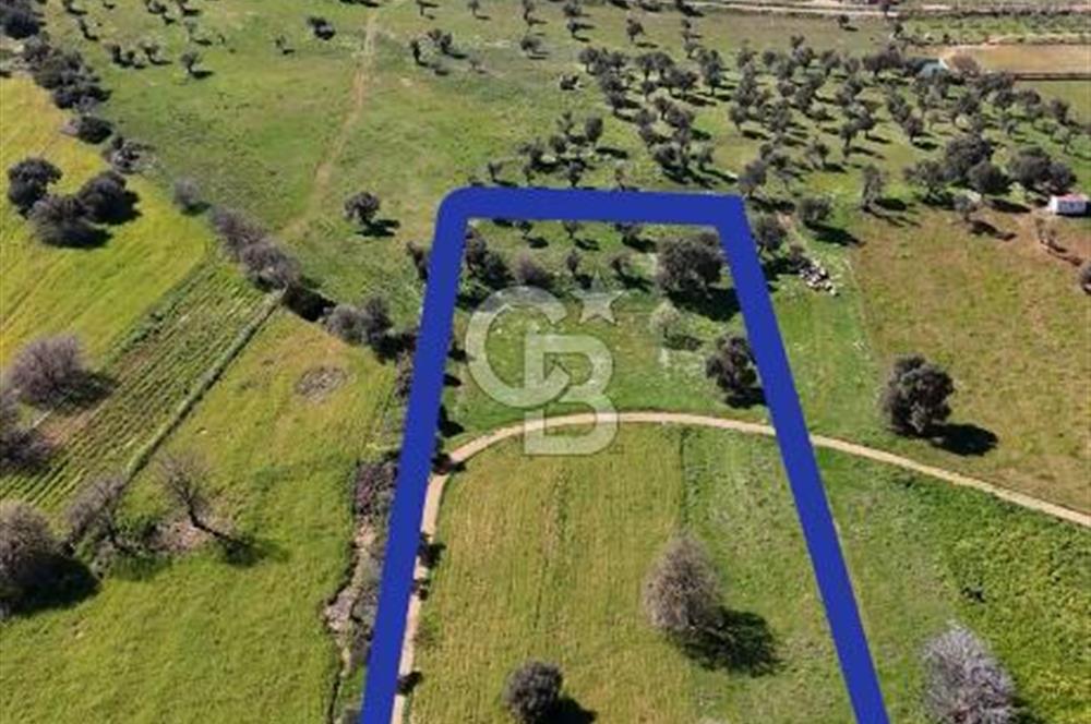 Güzelbahçe Yelki'de Kaçırılmayacak Yatırım Fırsatı