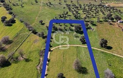 Güzelbahçe Yelki'de Kaçırılmayacak Yatırım Fırsatı