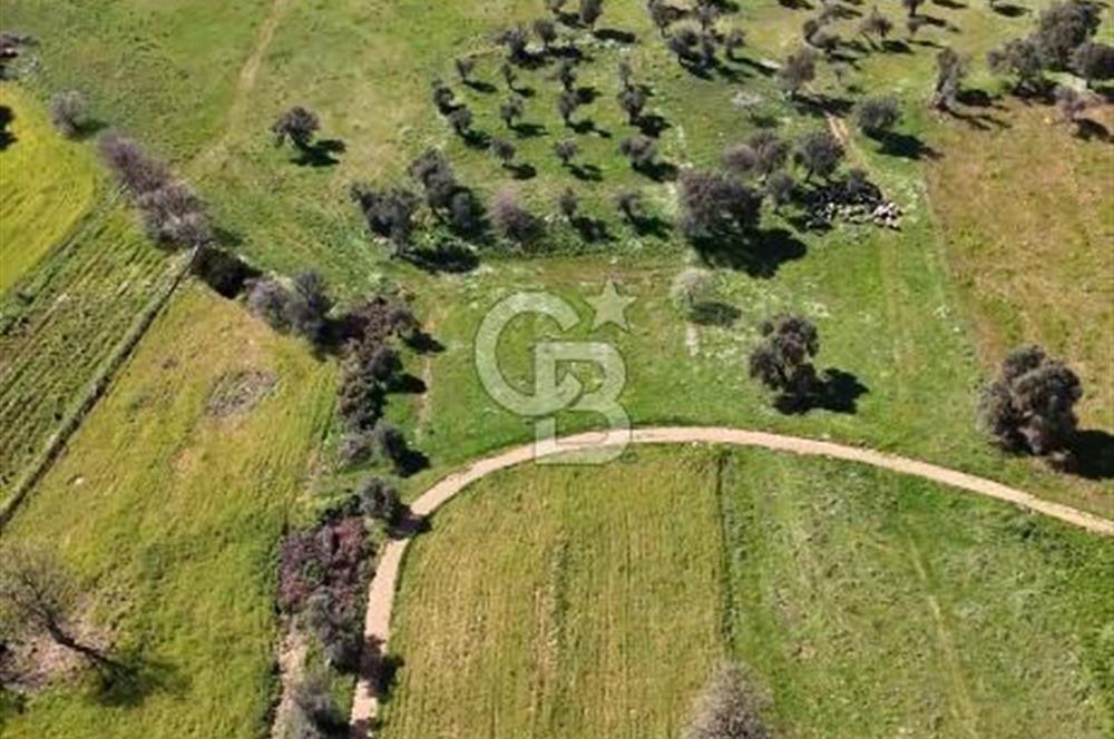 Güzelbahçe Yelki'de Kaçırılmayacak Yatırım Fırsatı