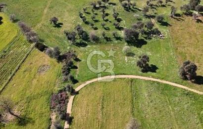 Güzelbahçe Yelki'de Kaçırılmayacak Yatırım Fırsatı