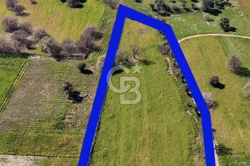 Güzelbahçe Yelki'de Satılık Arsa