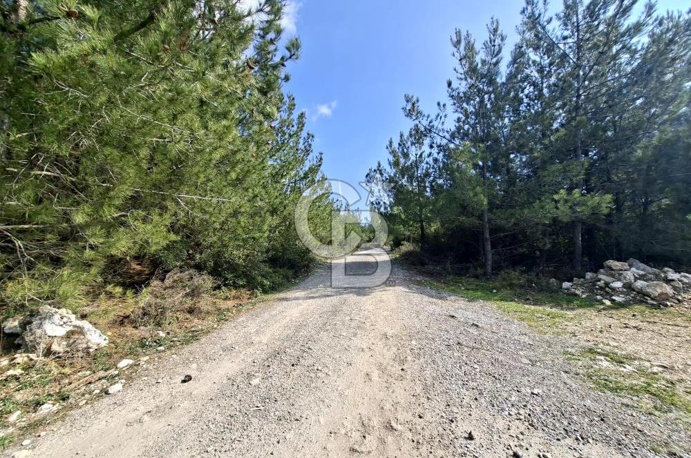 Bornova Yakaköyde Satılık Bağ ve 2+1 ev