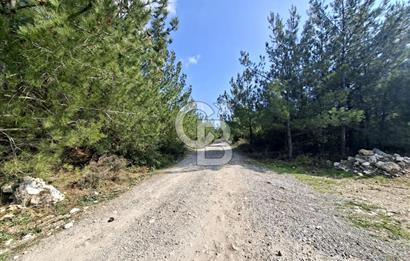 Bornova Yakaköyde Satılık Bağ ve 2+1 ev