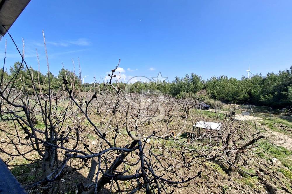 Bornova Yakaköyde Satılık Bağ ve 2+1 ev