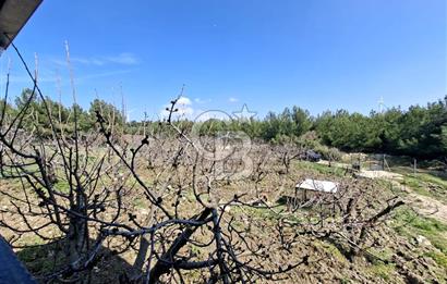 Bornova Yakaköyde Satılık Bağ ve 2+1 ev