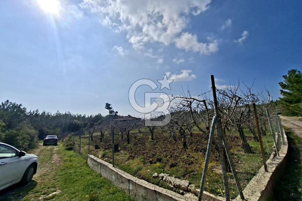 Bornova Yakaköyde Satılık Bağ ve 2+1 ev