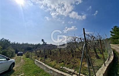 Bornova Yakaköyde Satılık Bağ ve 2+1 ev