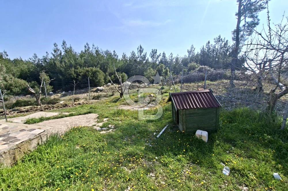 Bornova Yakaköyde Satılık Bağ ve 2+1 ev