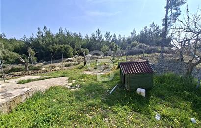 Bornova Yakaköyde Satılık Bağ ve 2+1 ev