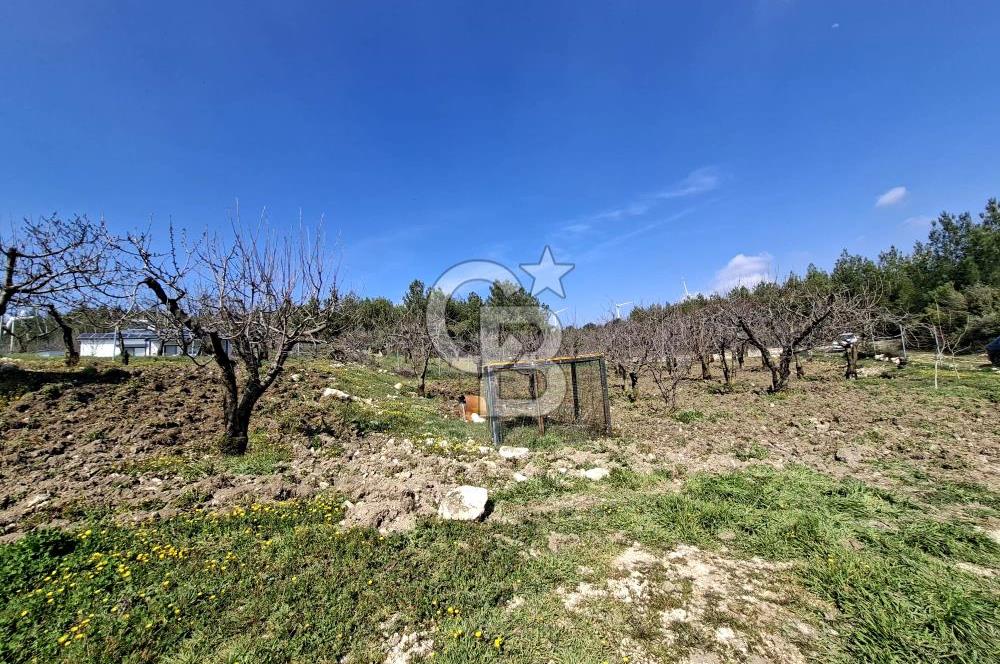 Bornova Yakaköyde Satılık Bağ ve 2+1 ev