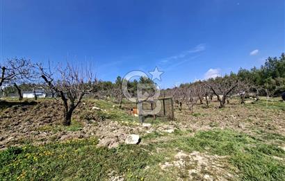 Bornova Yakaköyde Satılık Bağ ve 2+1 ev