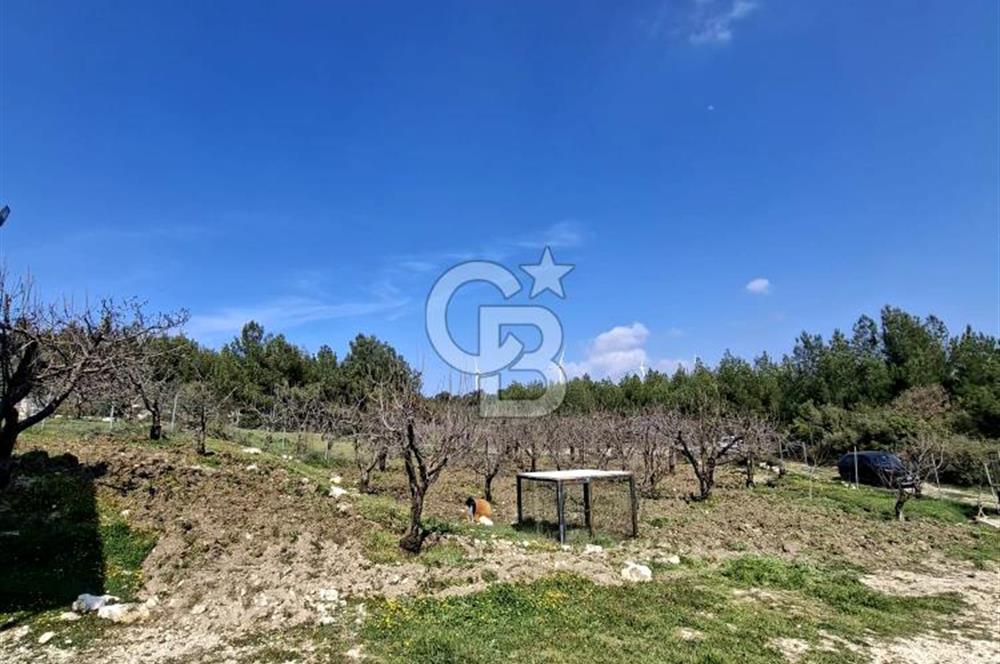 Bornova Yakaköyde Satılık Bağ ve 2+1 ev