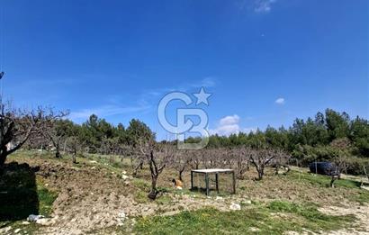 Bornova Yakaköyde Satılık Bağ ve 2+1 ev