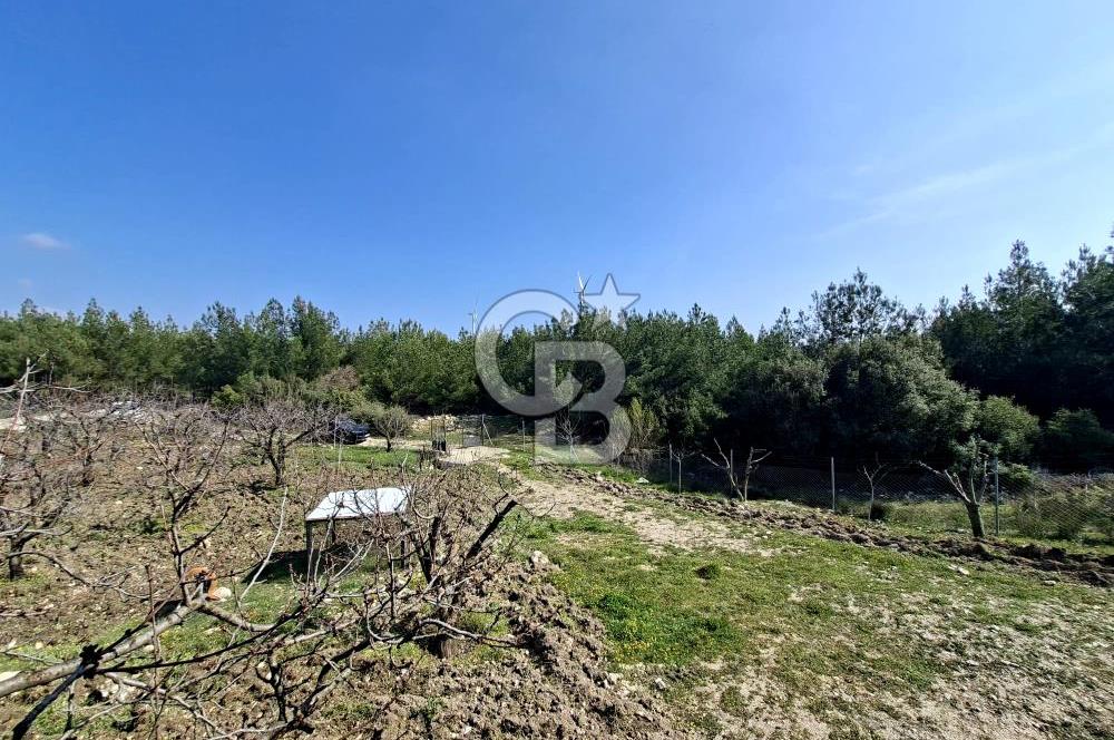 Bornova Yakaköyde Satılık Bağ ve 2+1 ev