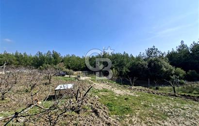 Bornova Yakaköyde Satılık Bağ ve 2+1 ev