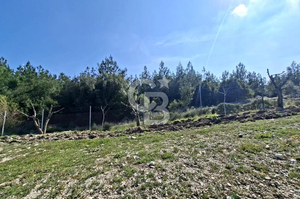 Bornova Yakaköyde Satılık Bağ ve 2+1 ev