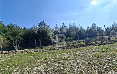 Bornova Yakaköyde Satılık Bağ ve 2+1 ev