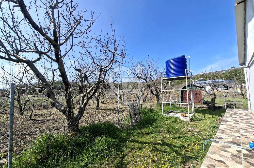 Bornova Yakaköyde Satılık Bağ ve 2+1 ev