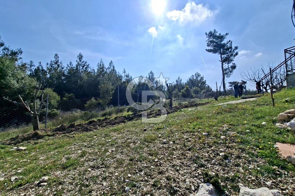 Bornova Yakaköyde Satılık Bağ ve 2+1 ev