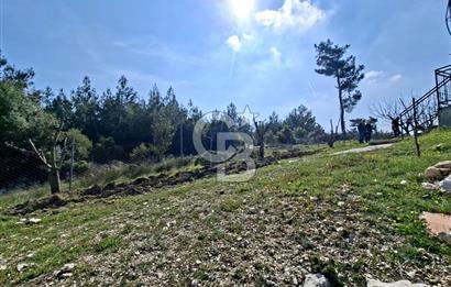 Bornova Yakaköyde Satılık Bağ ve 2+1 ev