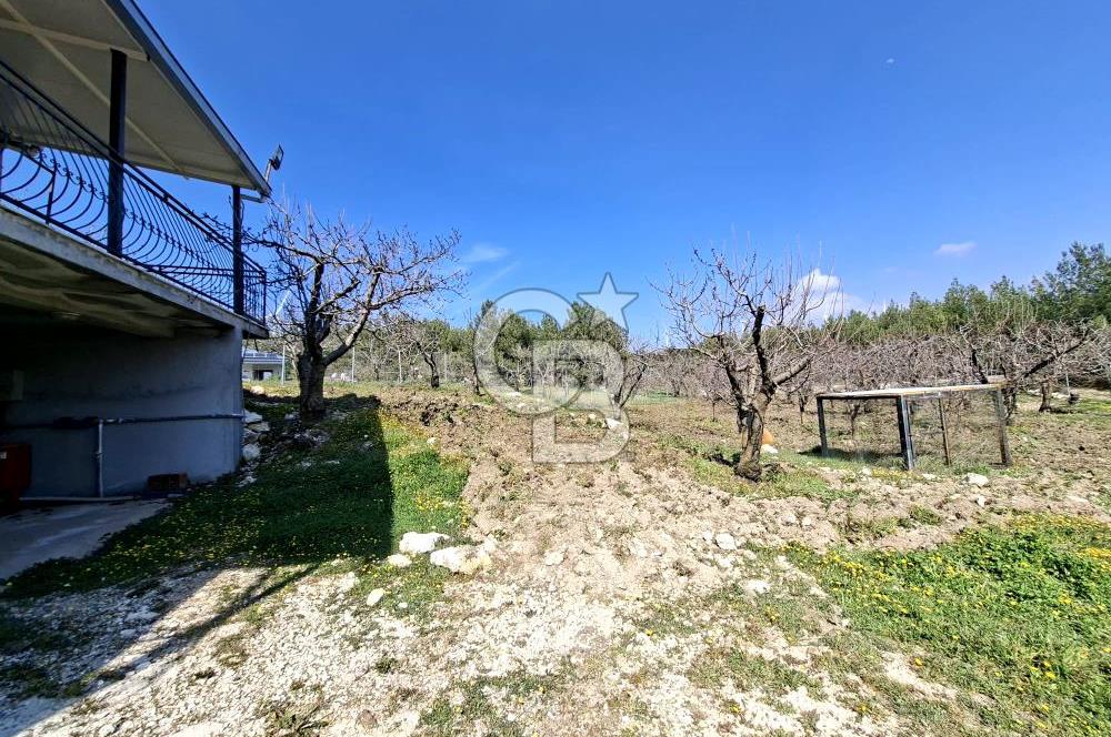 Bornova Yakaköyde Satılık Bağ ve 2+1 ev