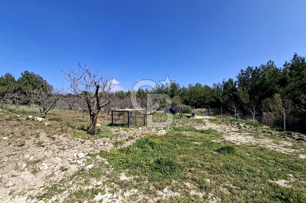 Bornova Yakaköyde Satılık Bağ ve 2+1 ev