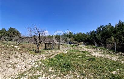 Bornova Yakaköyde Satılık Bağ ve 2+1 ev