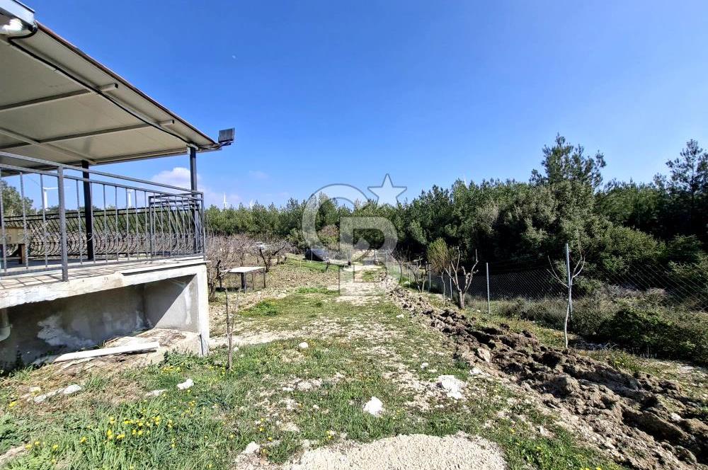 Bornova Yakaköyde Satılık Bağ ve 2+1 ev