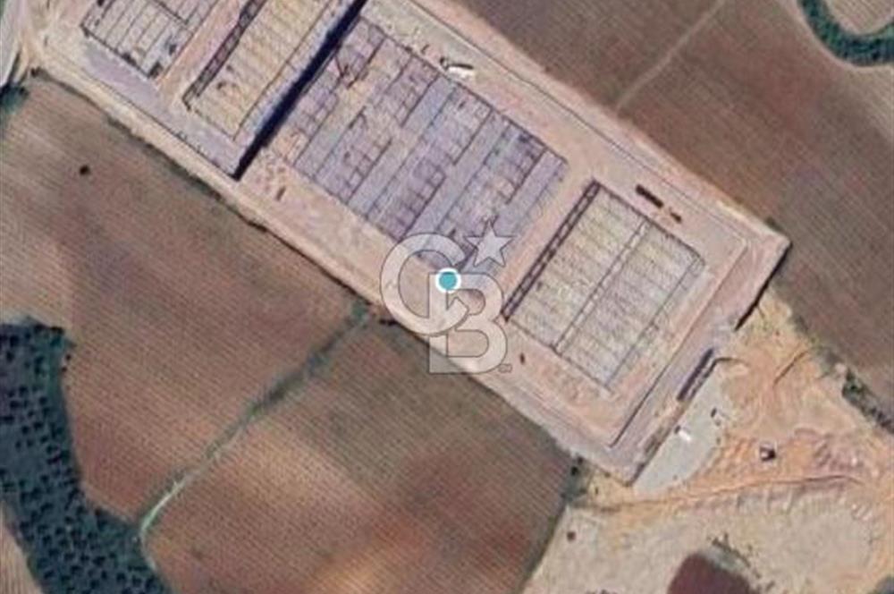 Turgutlu Çepnidere'de OSB İçinde Fabrika / Depo