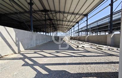 Turgutlu Çepnidere'de OSB İçinde Fabrika / Depo