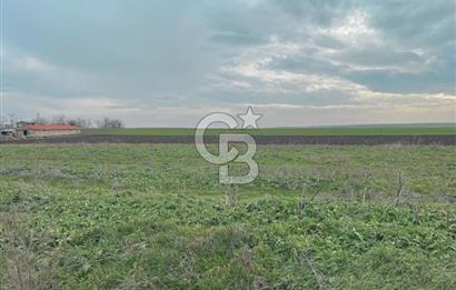 Hayrabolu Duğcalı Mahallesinde 3182m2 3 kat imarlı Satılık Arsa