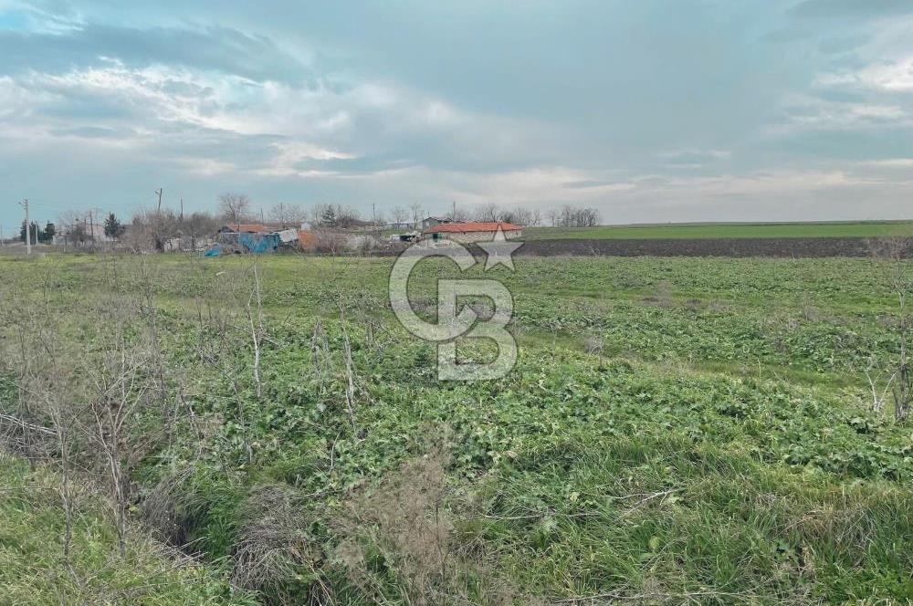 Hayrabolu Duğcalı Mahallesinde 3182m2 3 kat imarlı Satılık Arsa