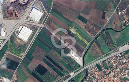 Manisa Akhisarda Satılık 6401 m² Yatırımlık Arsa