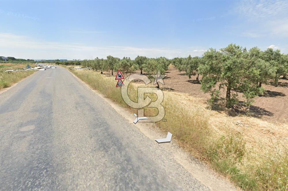 Manisa Akhisarda Satılık 16.826 m² Yatırımlık Arsa