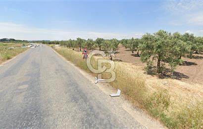 Manisa Akhisarda Satılık 16.826 m² Yatırımlık Arsa