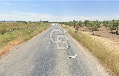 Manisa Akhisarda Satılık 16.826 m² Yatırımlık Arsa