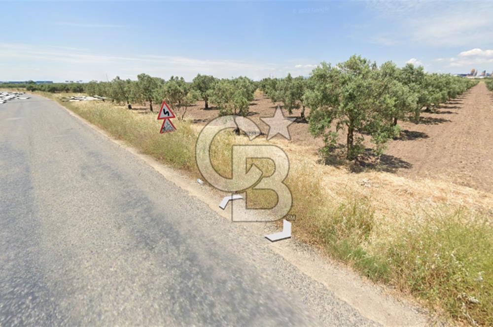 Manisa Akhisarda Satılık 16.826 m² Yatırımlık Arsa