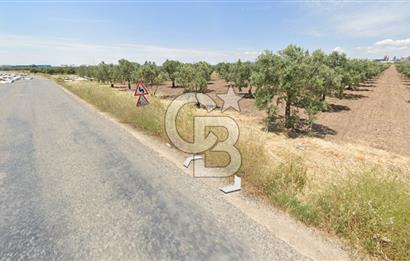 Manisa Akhisarda Satılık 16.826 m² Yatırımlık Arsa