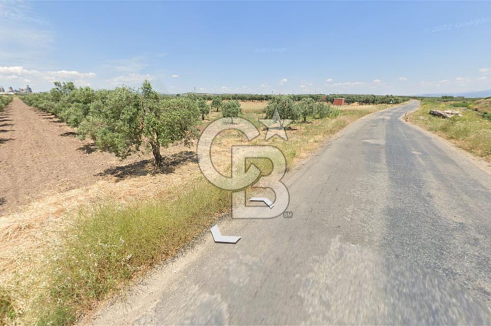 Manisa Akhisarda Satılık 6401 m² Yatırımlık Arsa