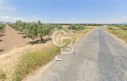 Manisa Akhisarda Satılık 6401 m² Yatırımlık Arsa