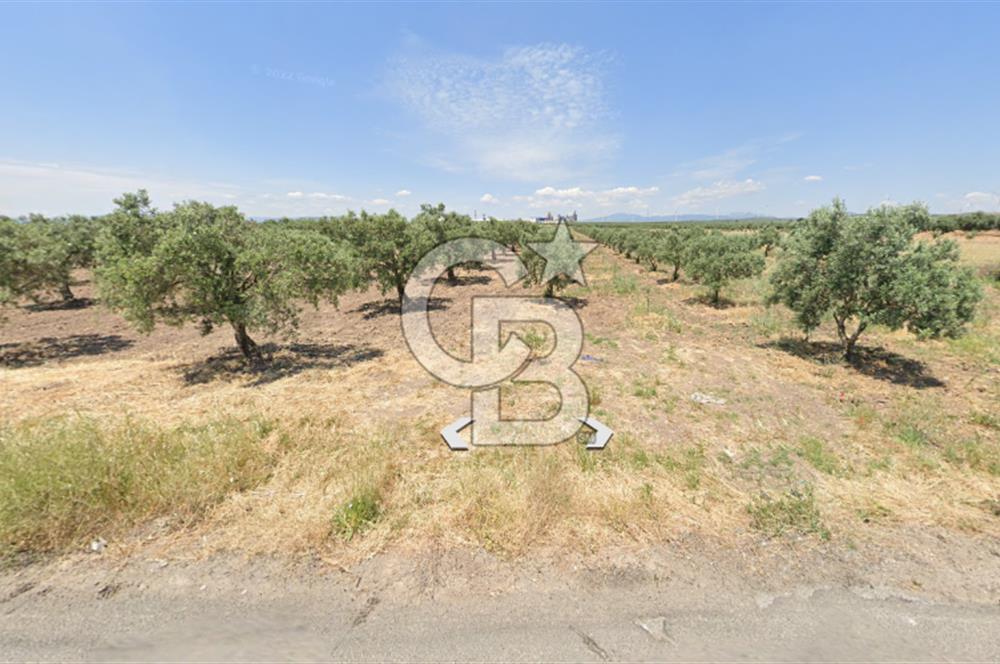 Manisa Akhisarda Satılık 6401 m² Yatırımlık Arsa