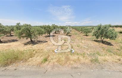 Manisa Akhisarda Satılık 6401 m² Yatırımlık Arsa