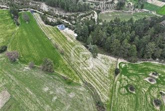 BURDUR BUCAK'TA SATILIK 8358 M2 TARLA VE EV - 3 - 340809