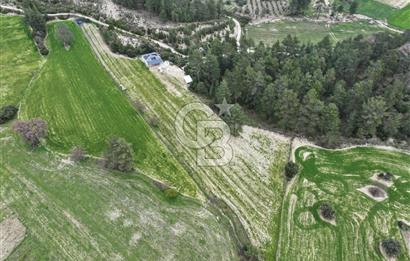 BURDUR BUCAK'TA SATILIK 8358 M2 TARLA VE EV