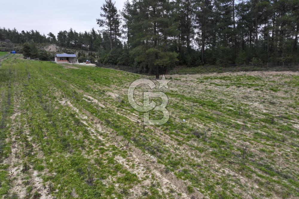 BURDUR BUCAK'TA SATILIK 8358 M2 TARLA VE EV