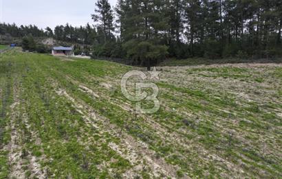 BURDUR BUCAK'TA SATILIK 8358 M2 TARLA VE EV